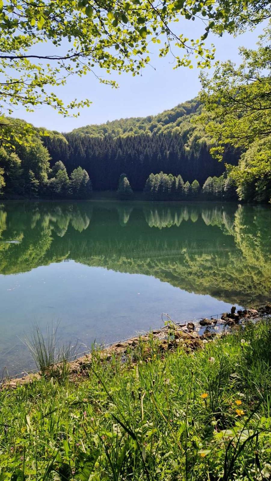 Apartmani Toki Balkana Mrkonjic Grad Luaran gambar